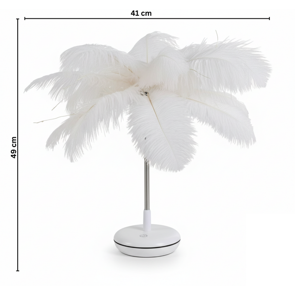 NYRWANA Feather Table Lamp for Bedroom & Nursery | Cordless LED Decorative Atmosphere Light | Modern Bedside Night Light Lamp | Dual Power USB/Battery