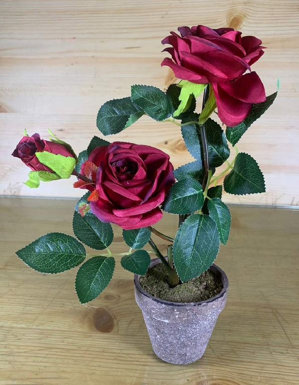 Rose Artificial Flower Plant with Vase Pot (Red  Colour )